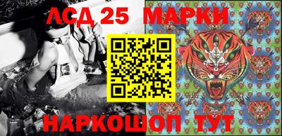 гашик Брянск