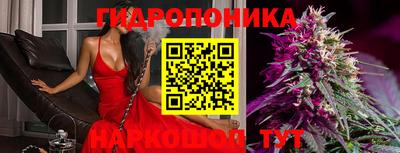 гидра Боровичи