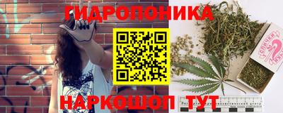 гашик Брянск