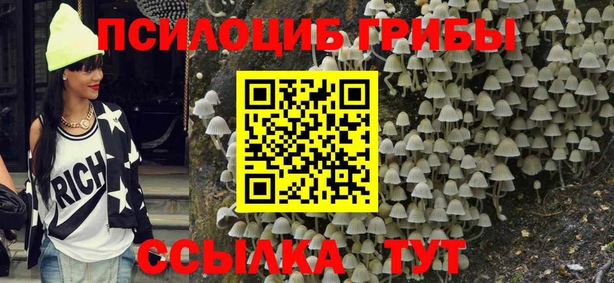 Псилоцибиновые грибы MAGIC MUSHROOMS Бугуруслан